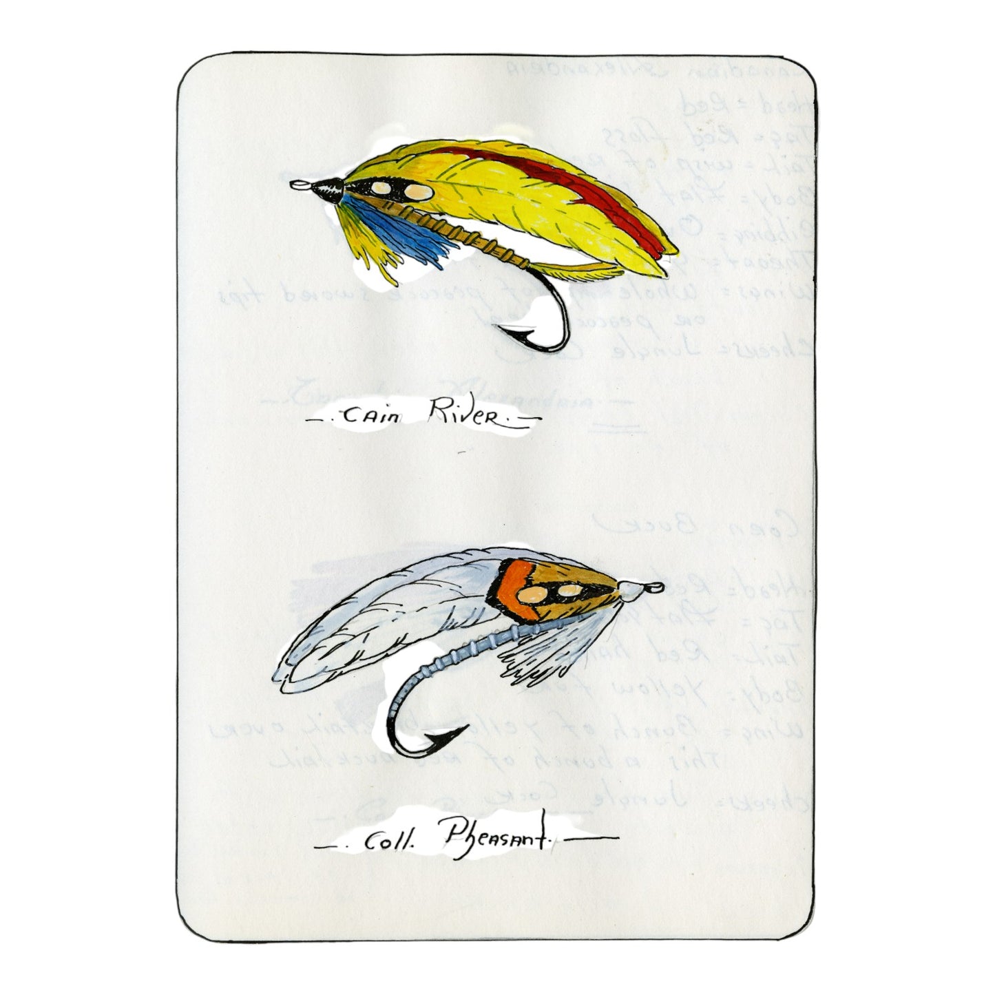 Sketchbook Series Fly Boxes - No. 003 (Coll. Pheasant Fly)