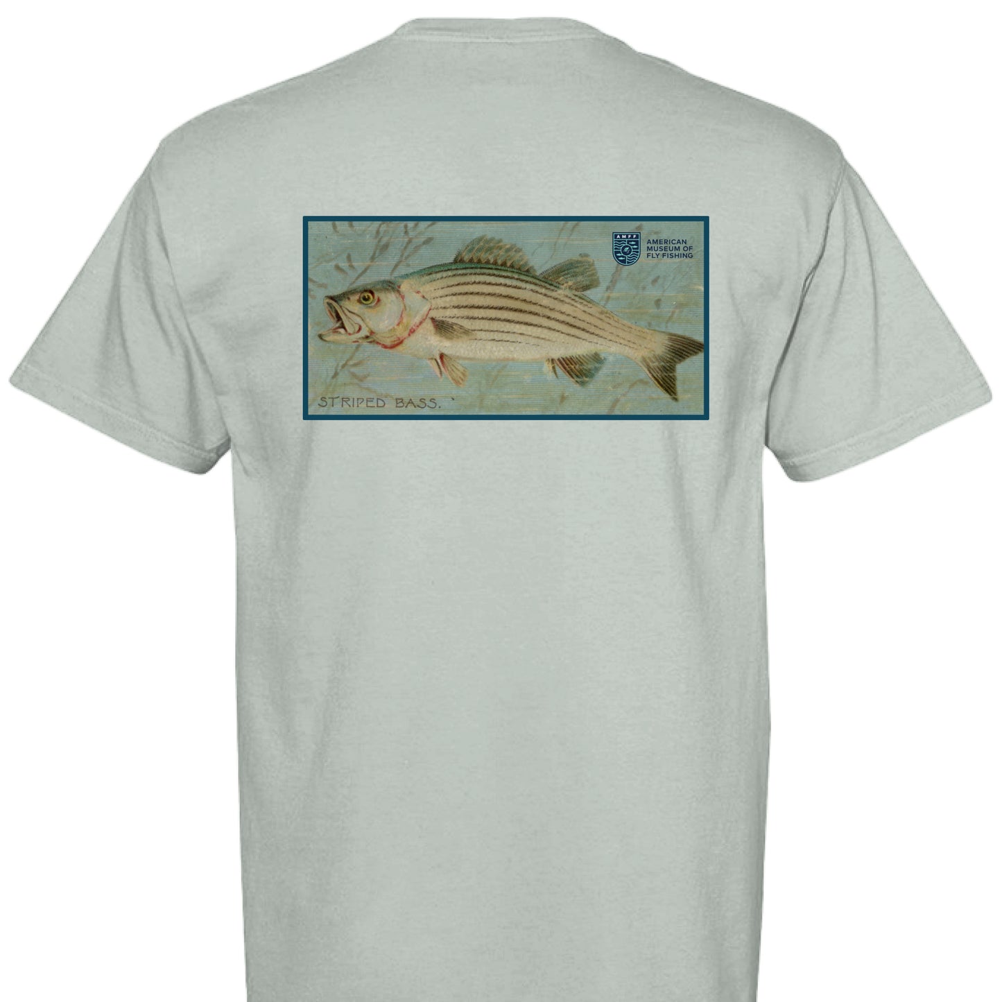 BAY - BACK