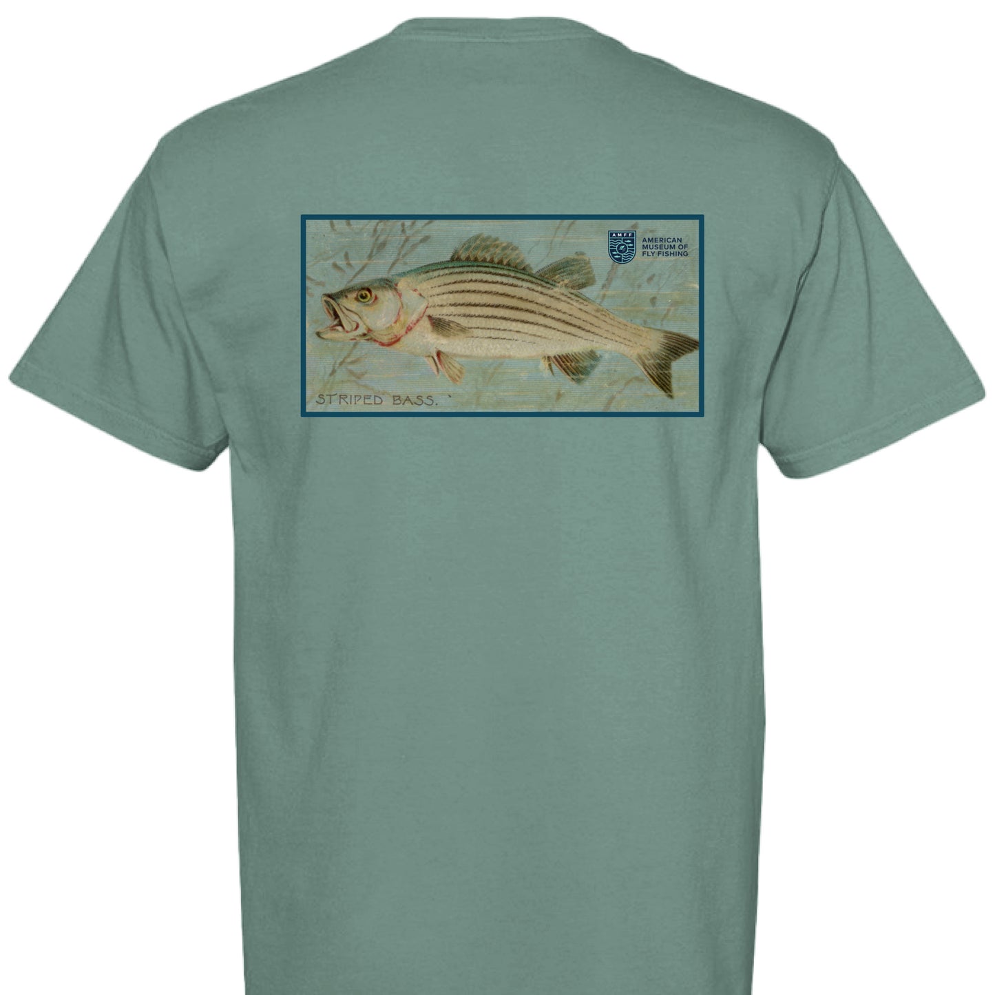 LIGHT GREEN - BACK