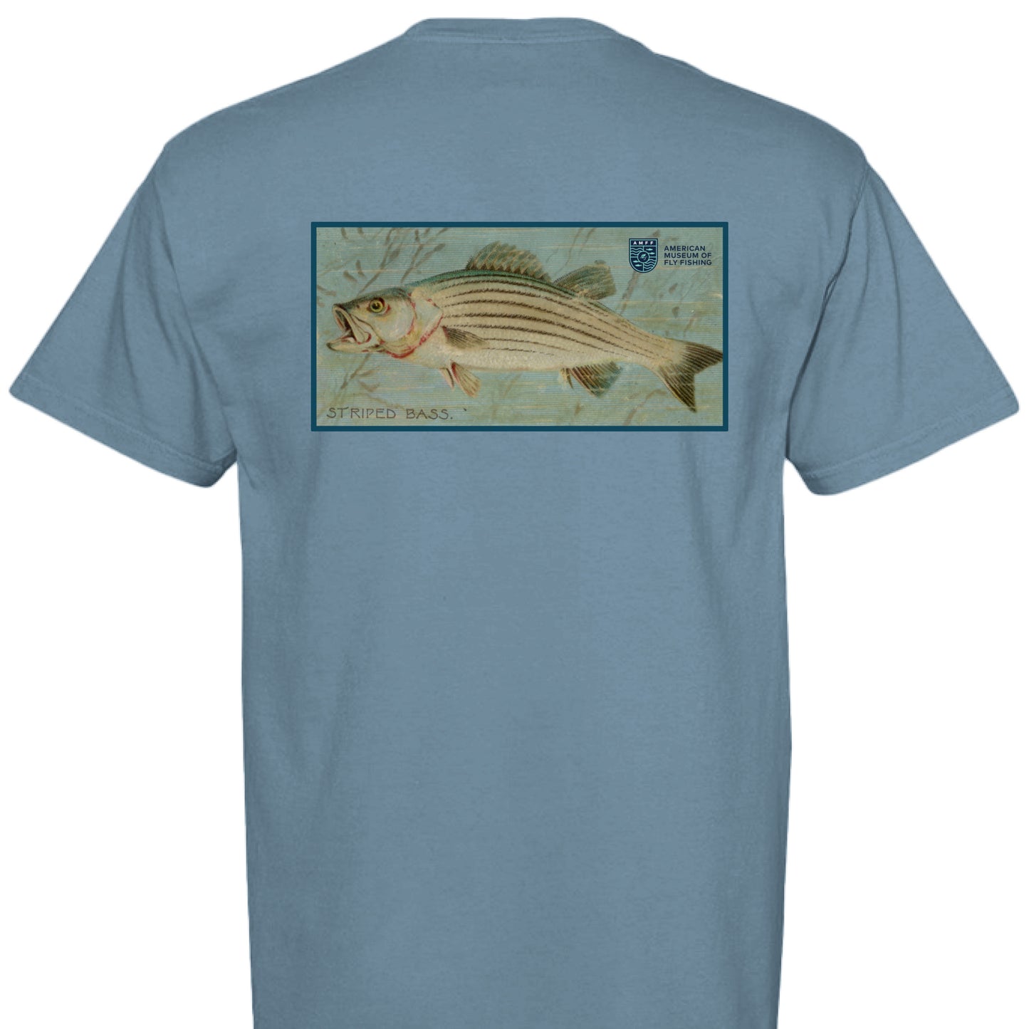 ICE BLUE - BACK