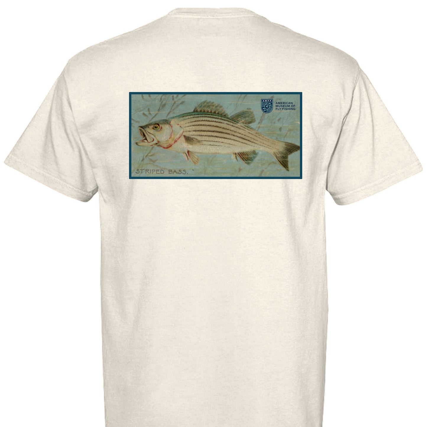 IVORY - BACK