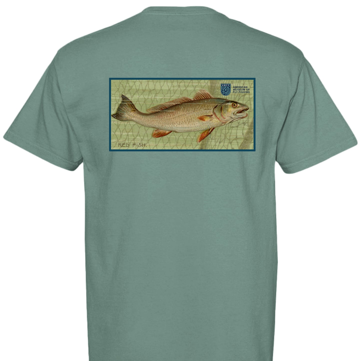 LIGHT GREEN - BACK