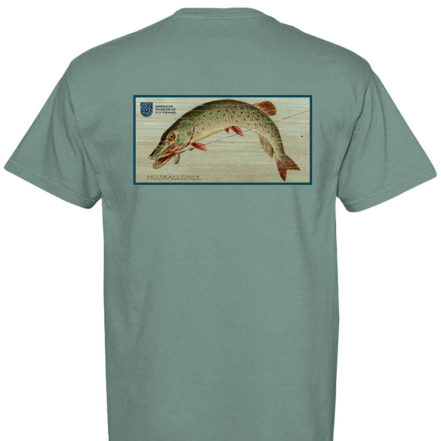 LIGHT GREEN - BACK