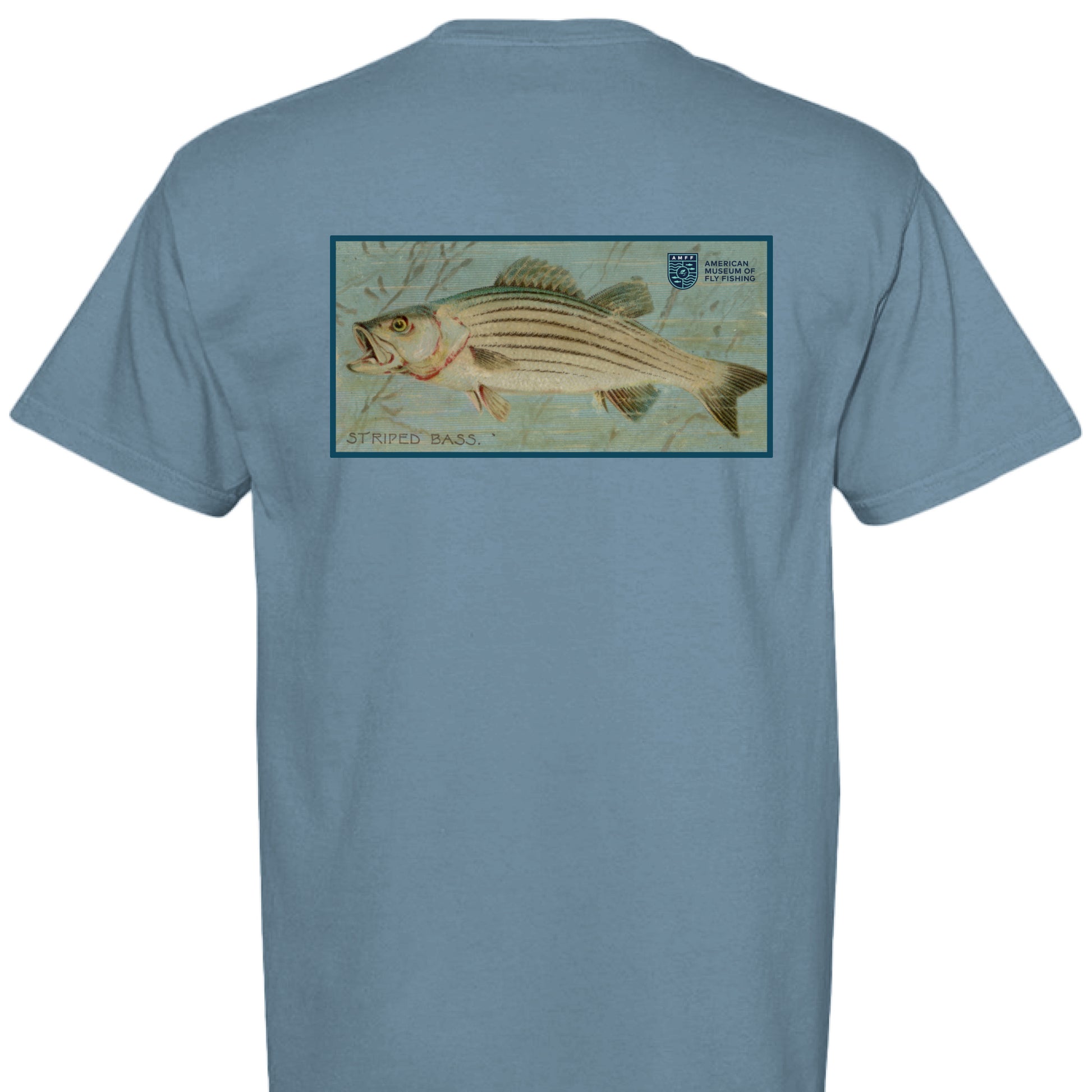 ICE BLUE - BACK