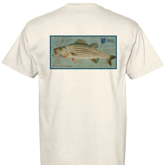 IVORY - BACK