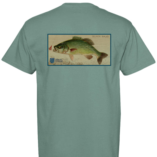 LIGHT GREEN - BACK