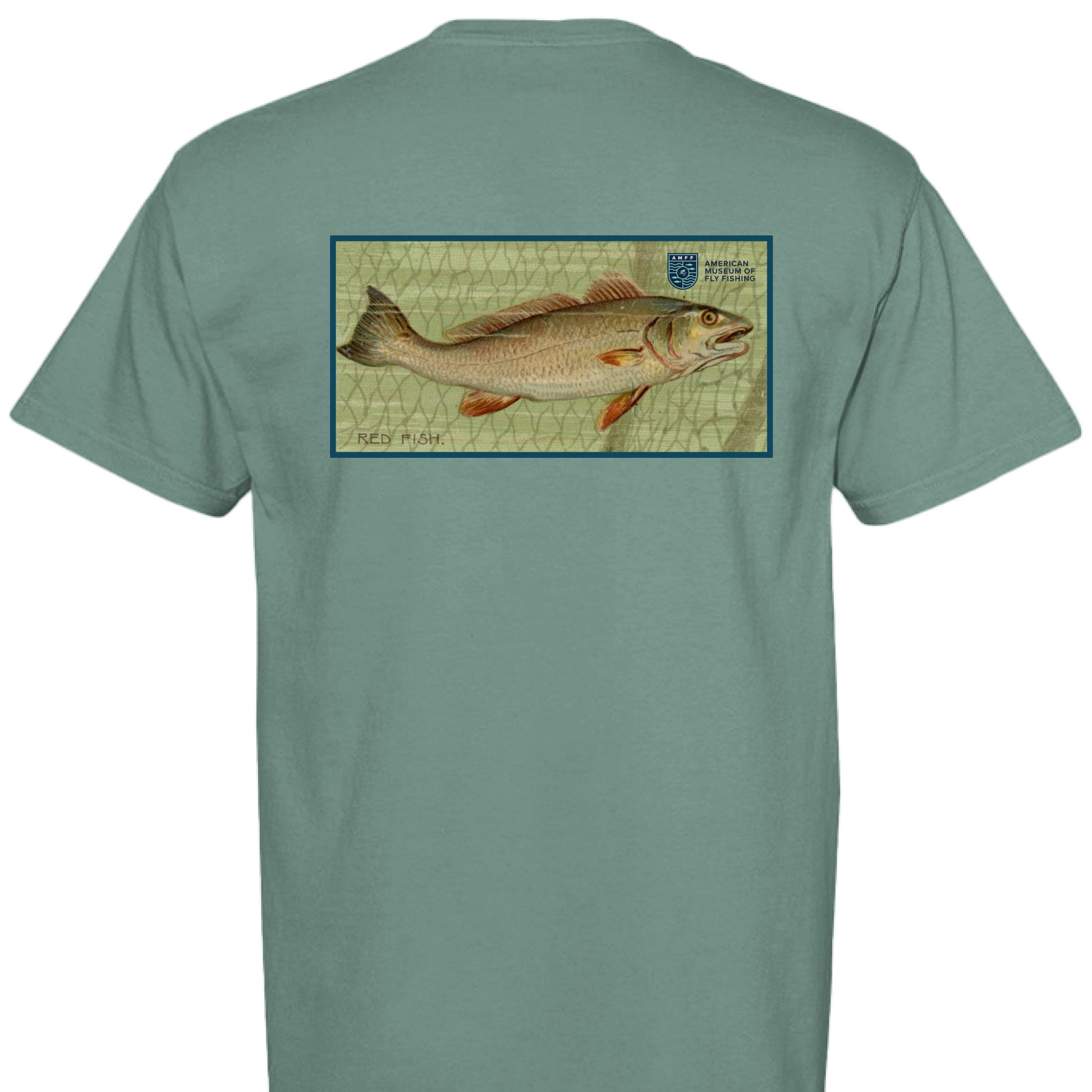 LIGHT GREEN - BACK