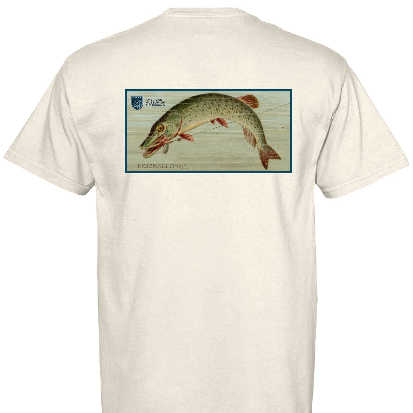 IVORY - BACK