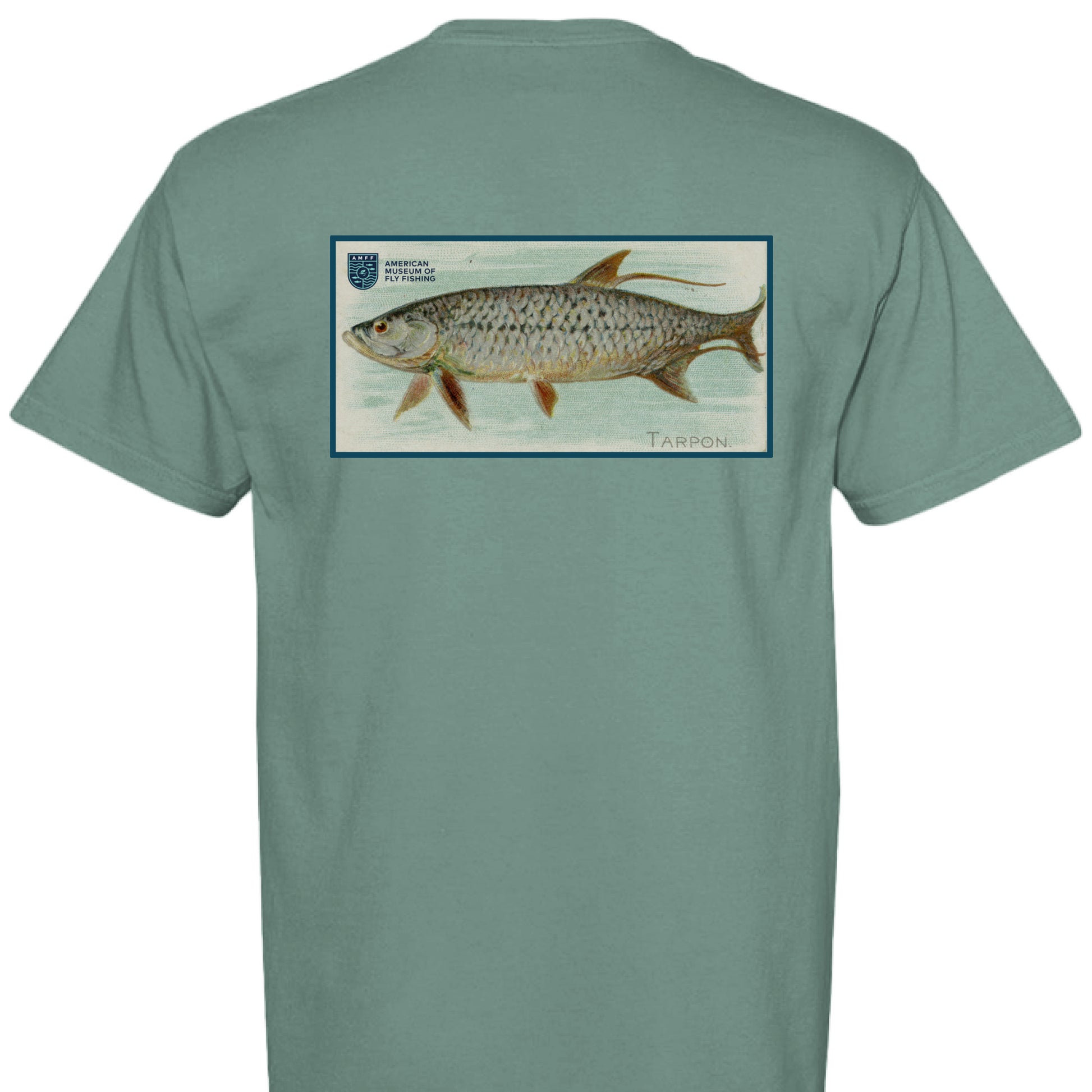 LIGHT GREEN - BACK